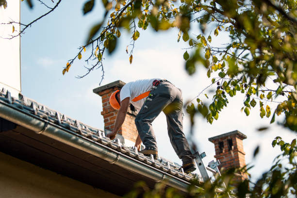 Best Gutter Installation and Roofing  in Freeport, IL