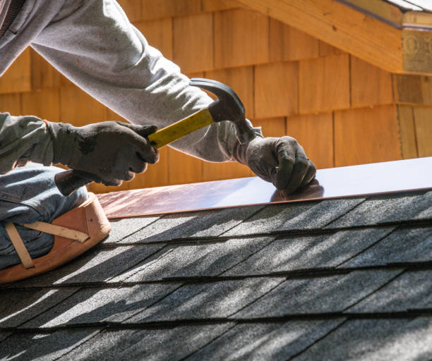 Roof Gutter Cleaning